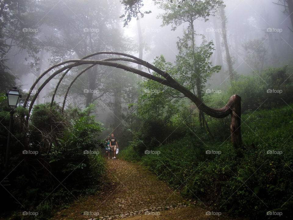 Sintra park in Portugal