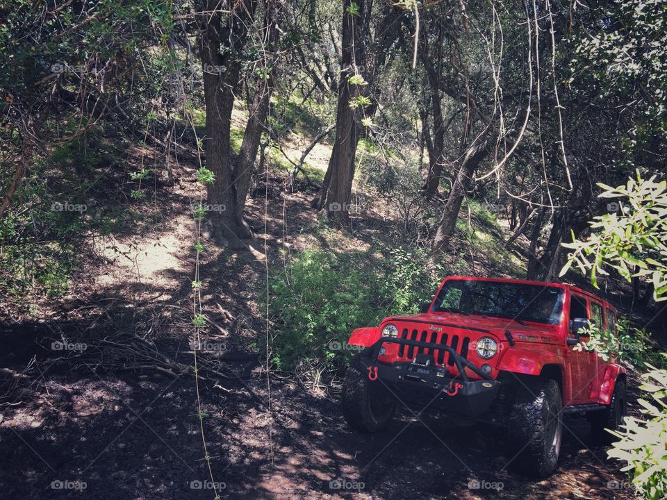 On the trails