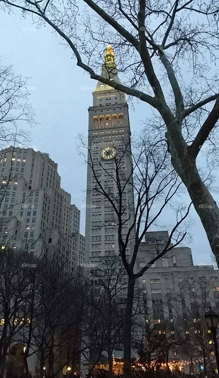 View from Madison Square Park NYC