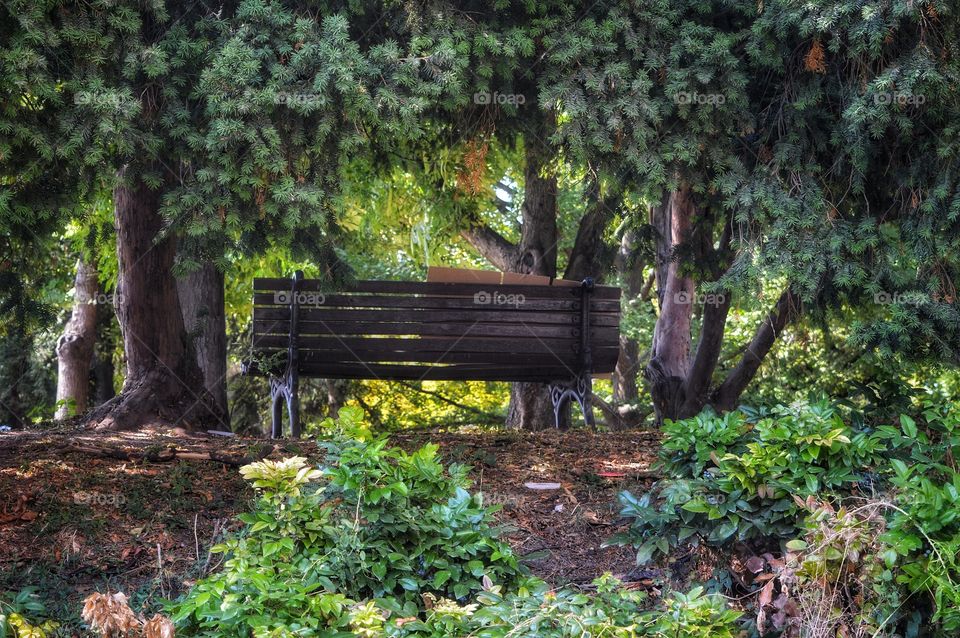 bench in park