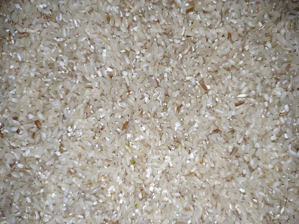 rice stored in the container