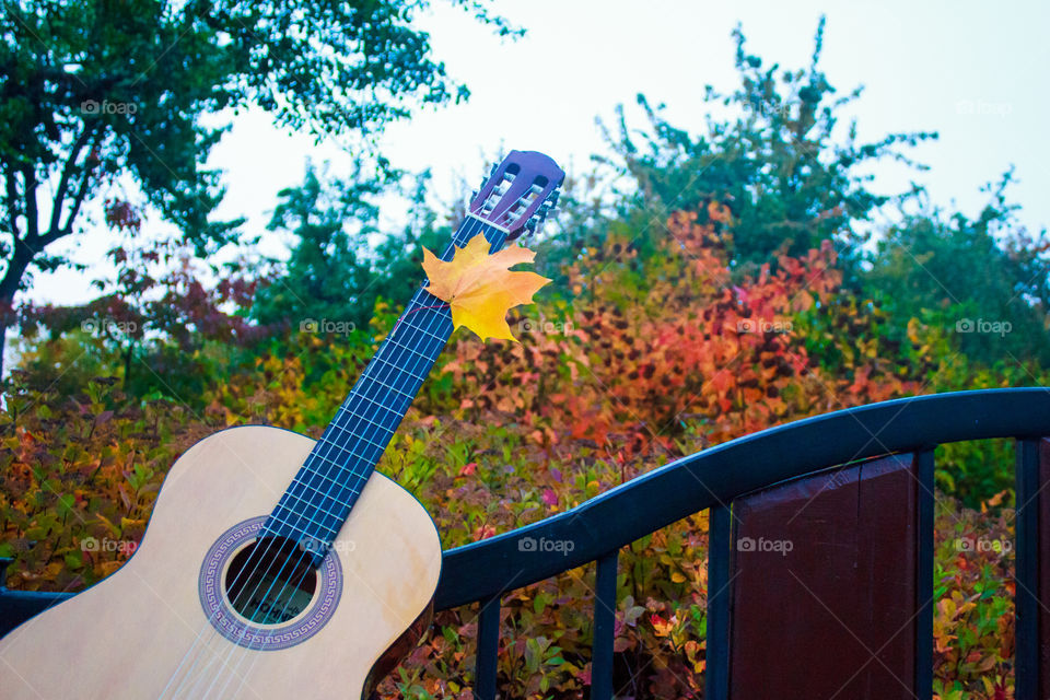 guitar on a bench in autumn park