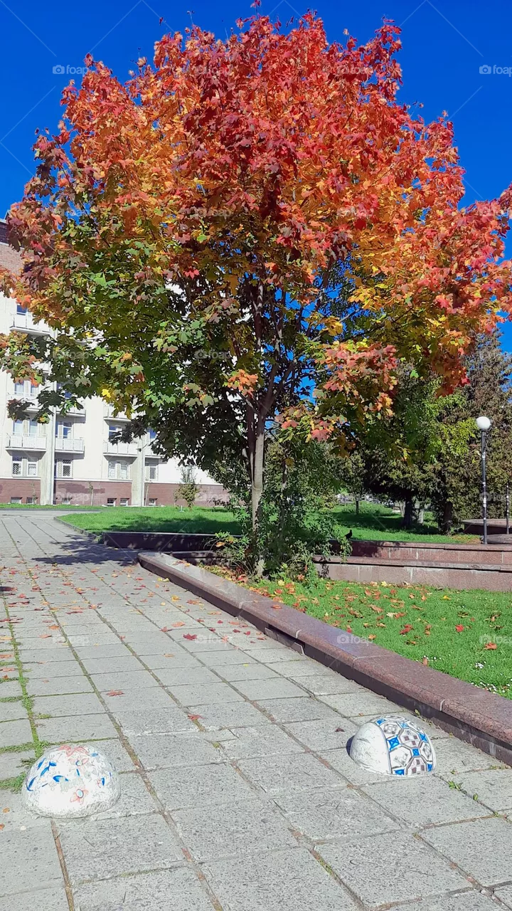autumn in Ukraine