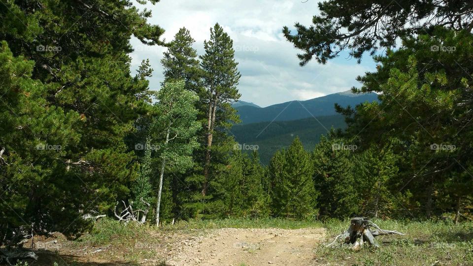 Nice view from the trail