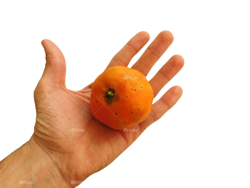 tangerines in hand