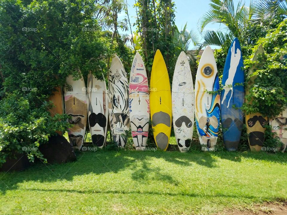Surfboards 