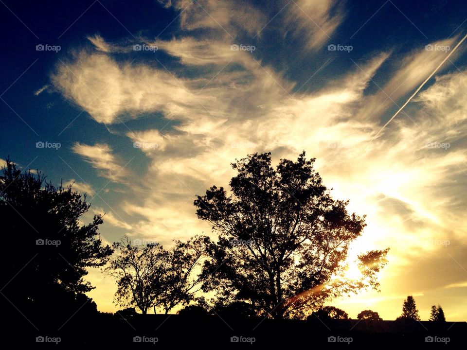 Trees and clouds