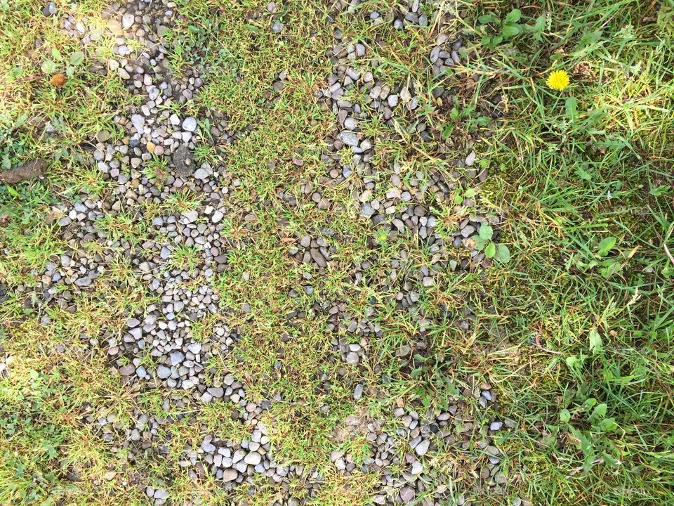 Pebbled path
Meridian Park 