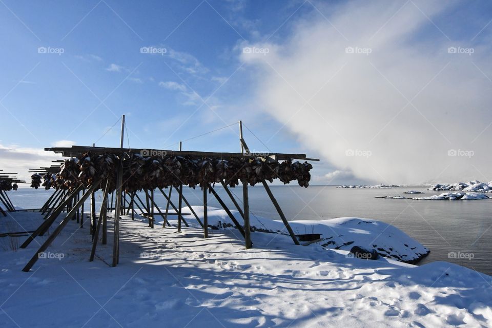 Dry fish racks