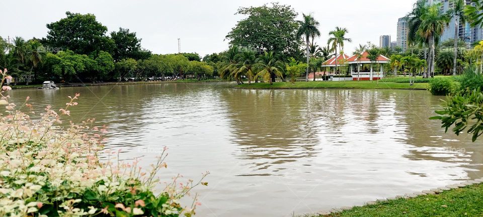 A river and water view offers a serene and picturesque setting that captivates the senses. The gentle flow of the river creates a soothing soundtrack, while the shimmering water surface reflects the ever-changing play of light. Lush greenery along th