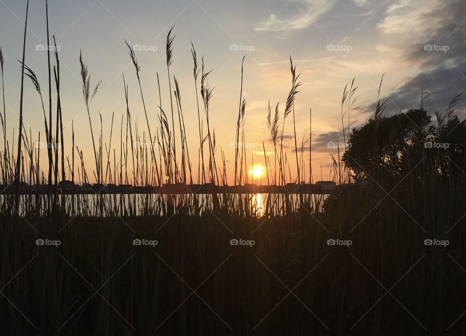 Sunset silhouette 