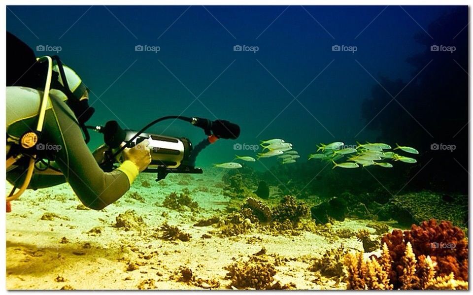 Chasing the beautiful