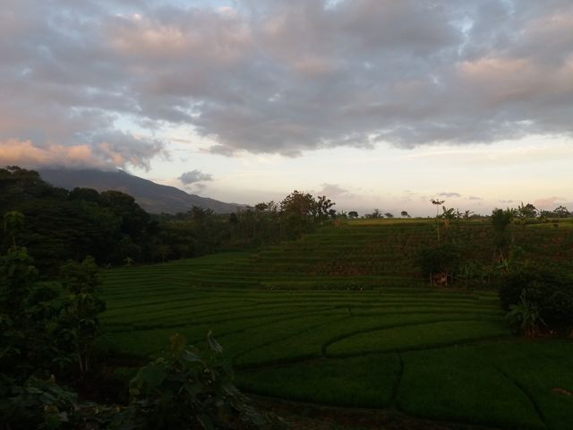 Foapcom Di Sawah Images Pictures And Stock Photos