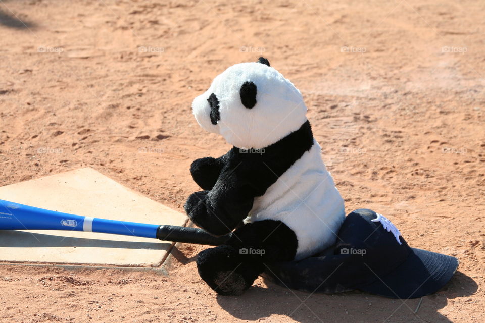 Chu plays Baseball. Chu the Panda plays all kinds of sports