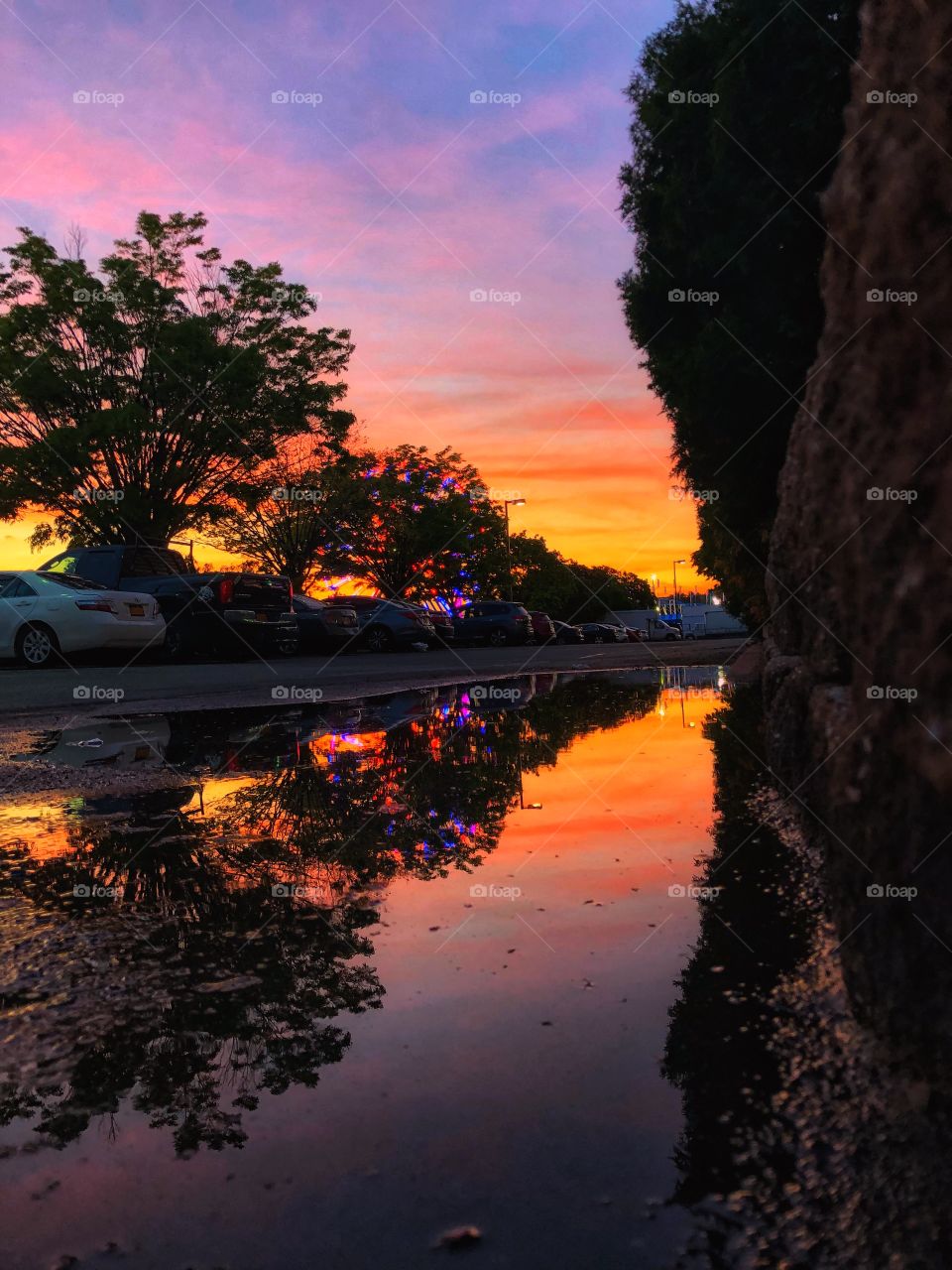 Sunset Puddle Reflection, Ferris Wheel I’m background 