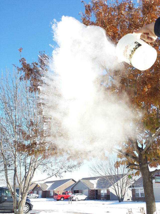 *Snow Day (9°F)*