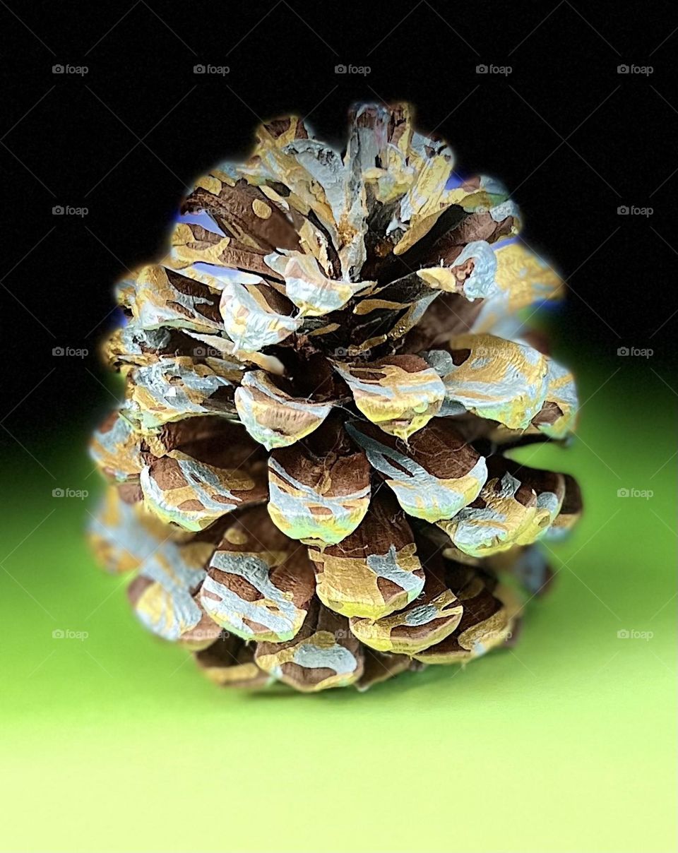 Painted Pine Cone