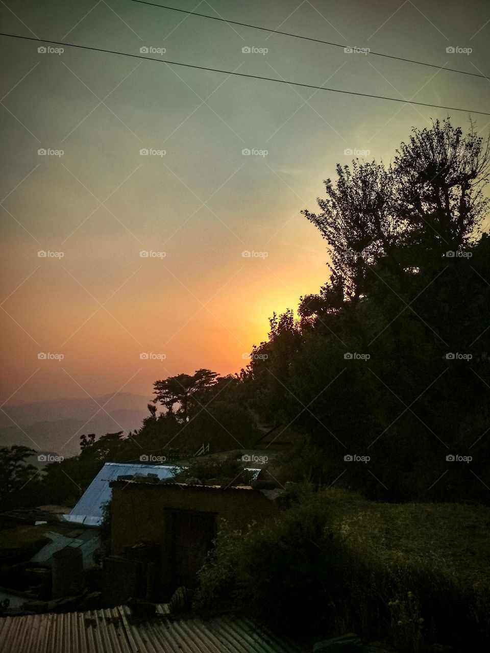 evening Vibes in the Himachal Pradesh