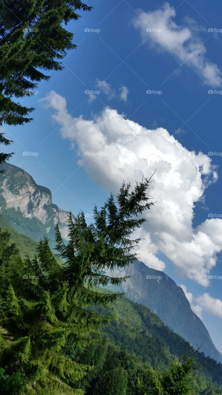 Romanian mountains - Poiana Secuilor