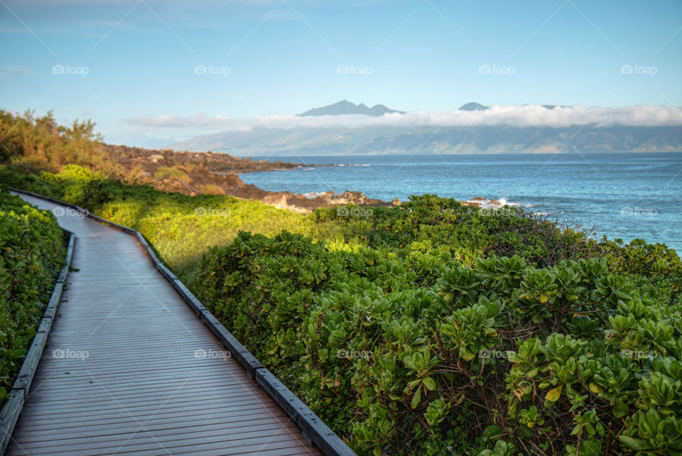 Beach boardwalk