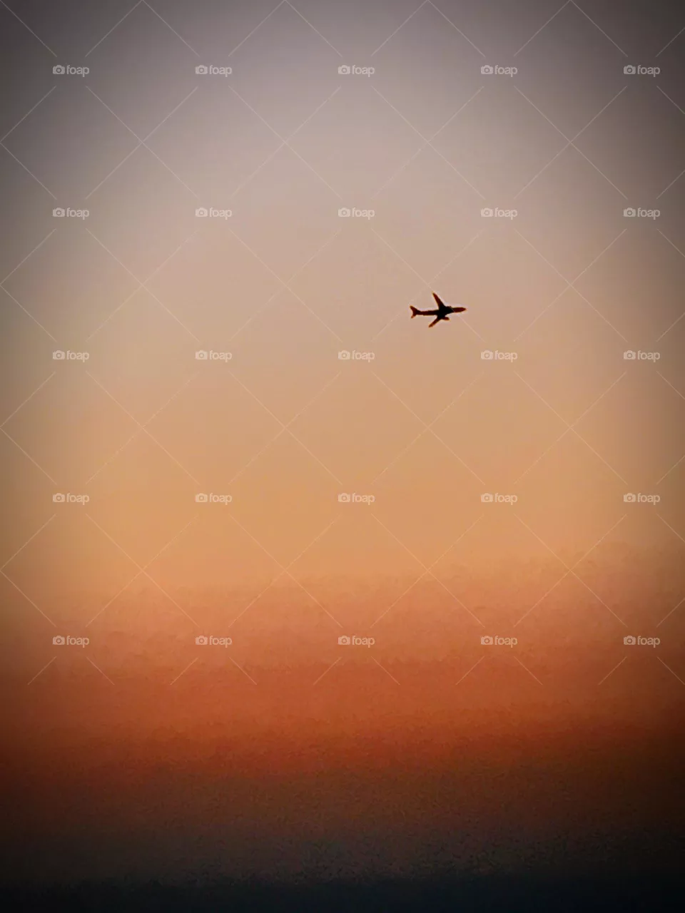 Flying