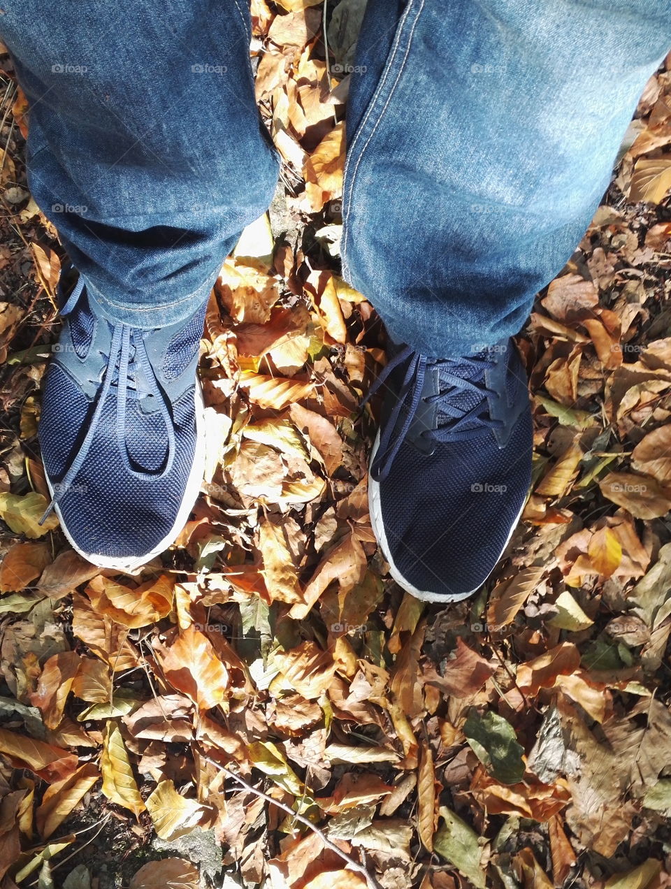 Schuhe in Wald