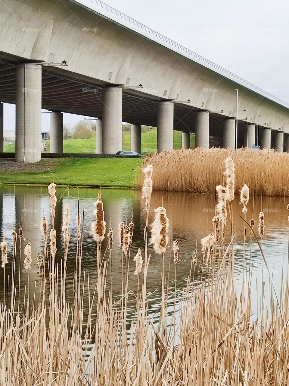 Below the Canal Bridge