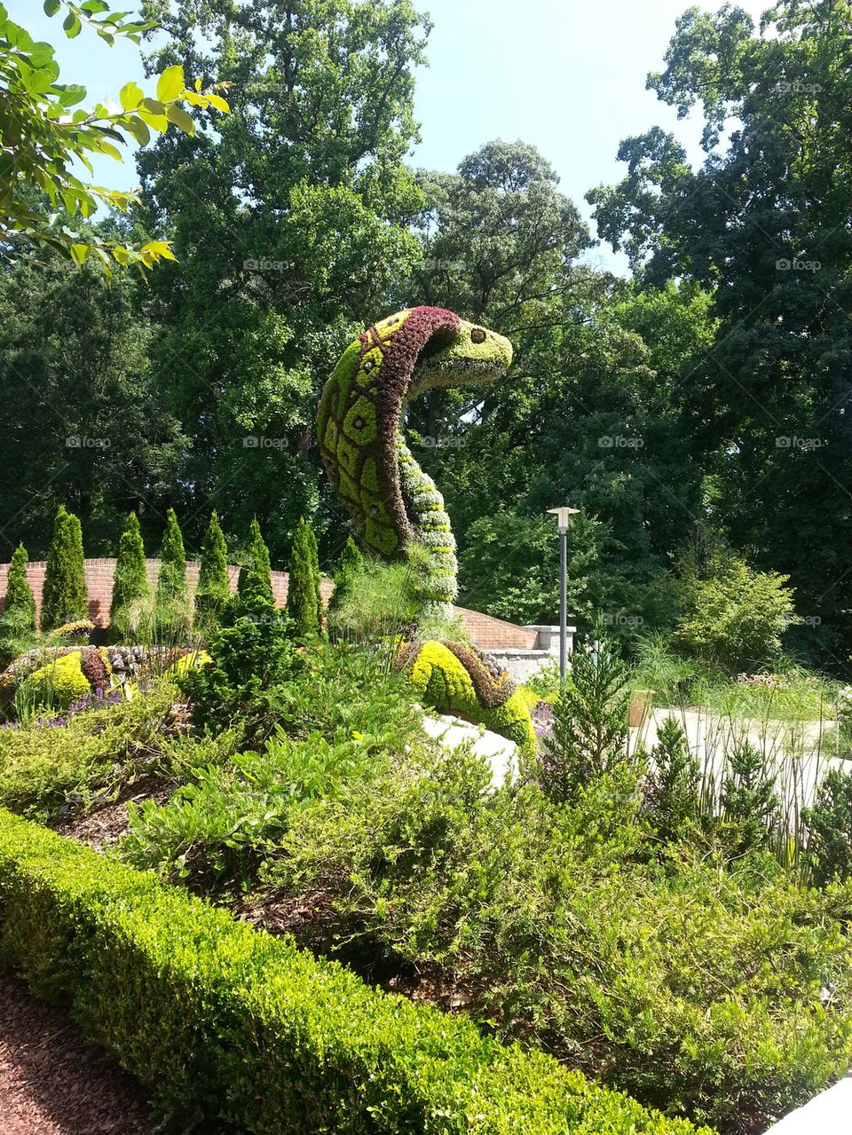 cobra Atlanta botanical gardens