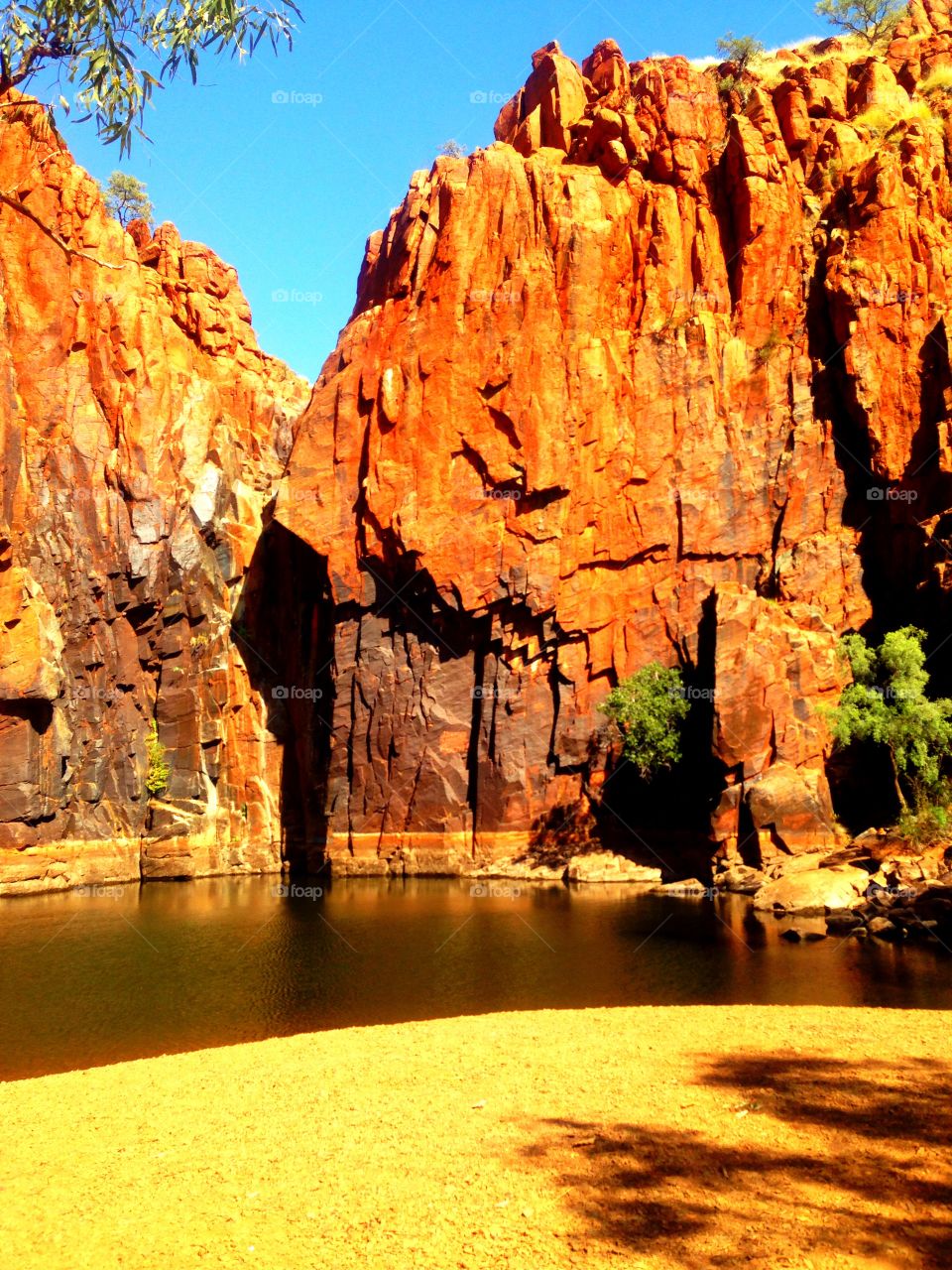 Watering Hole - Western Australia