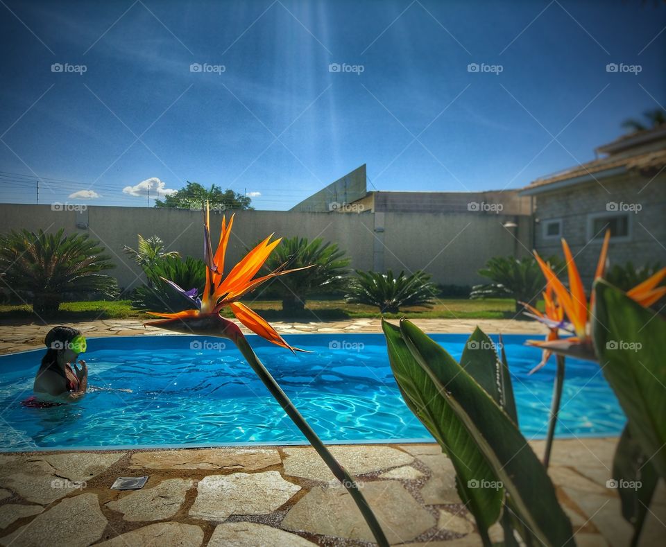 flor piscina criança