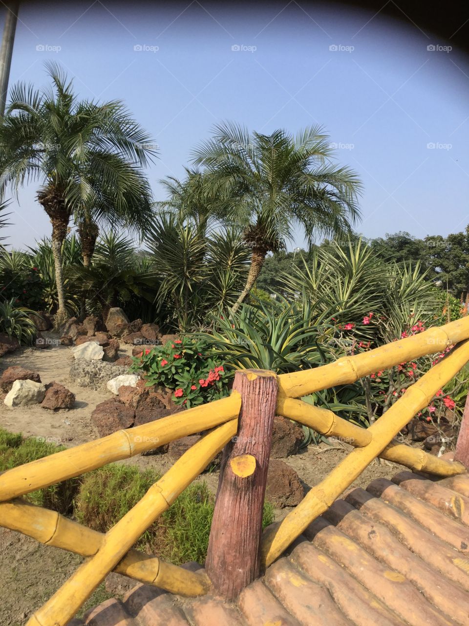 Tomorrow’s green world 