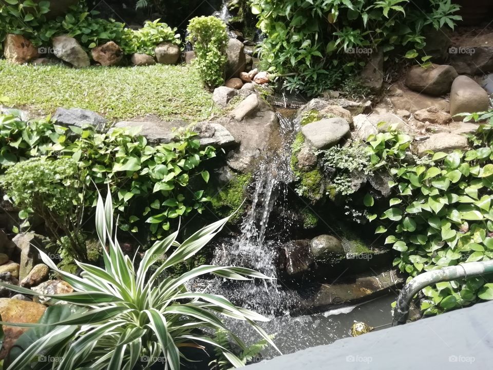 Landscaping at the hotel