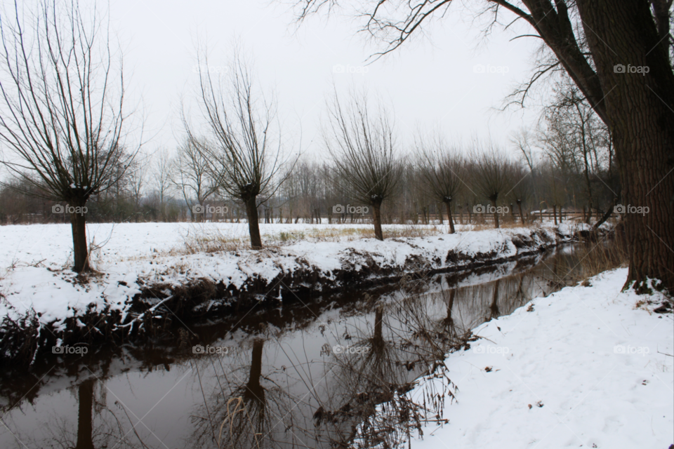 snow winter trees water by twilite