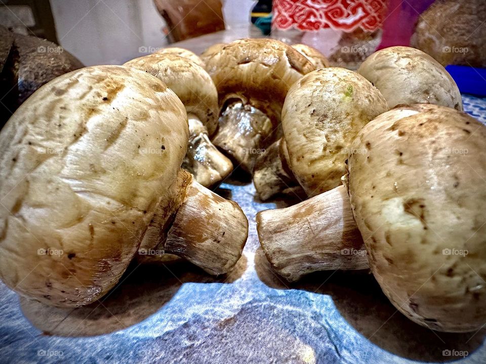 mushrooms that are starting to mold,