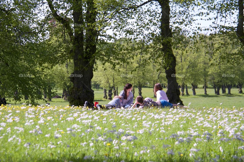 Picnic . Picnic 