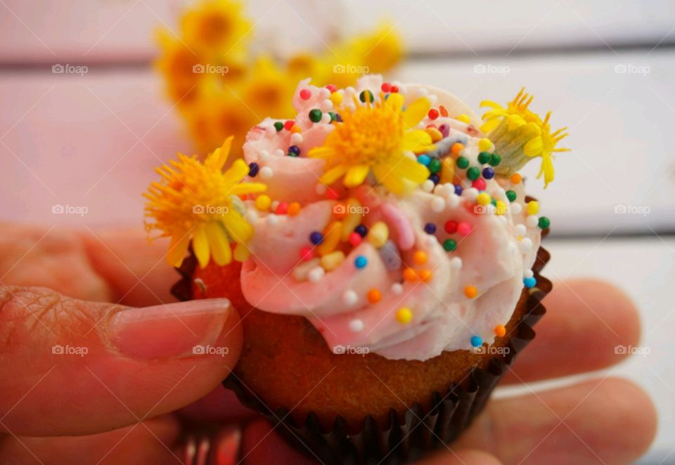 Crazy Cupcakes