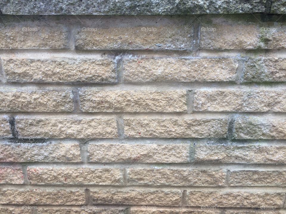 Garden brick wall