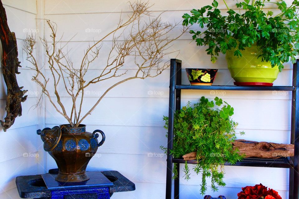 Twigs and potted plants in shelf