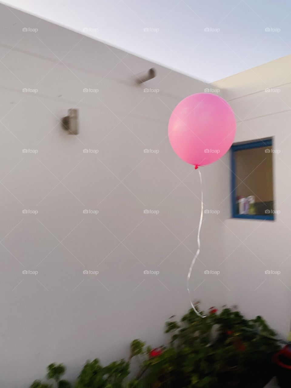 When dreams fly into existence 