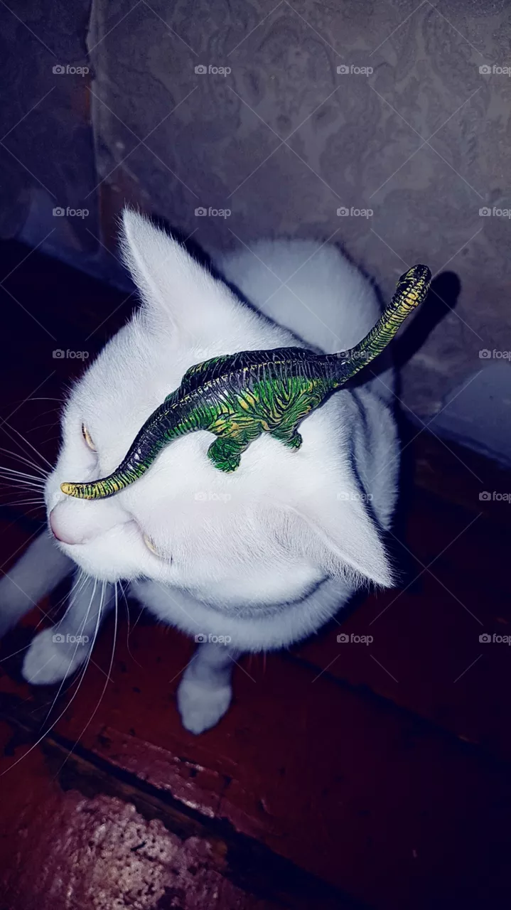dinosaur
