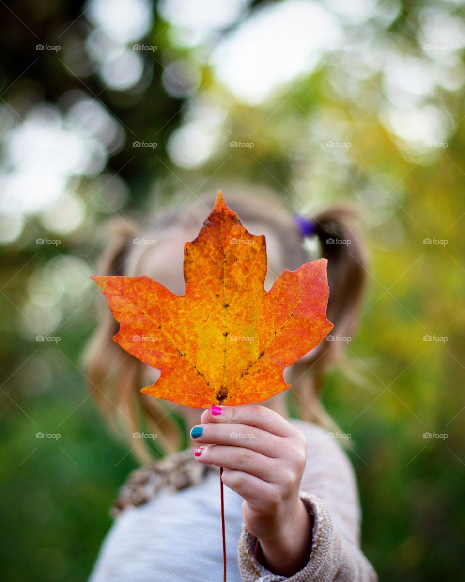 Autumn leaf