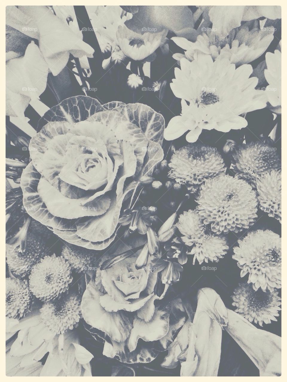 Flowers in Grey