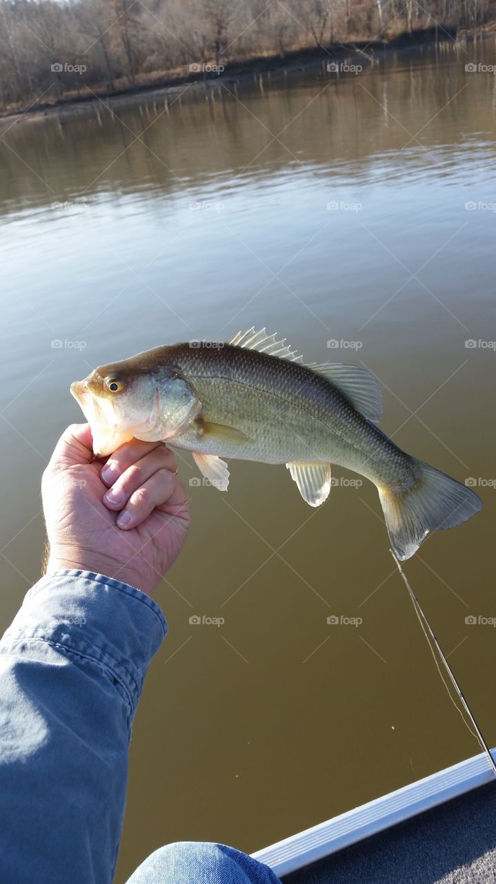 Late fall bass fishing. December bass!
