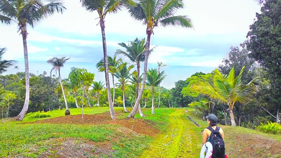 Beautiful view of the beach