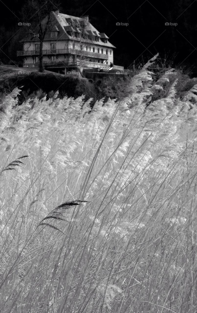 Black and white bright grass in front of old Normandy House