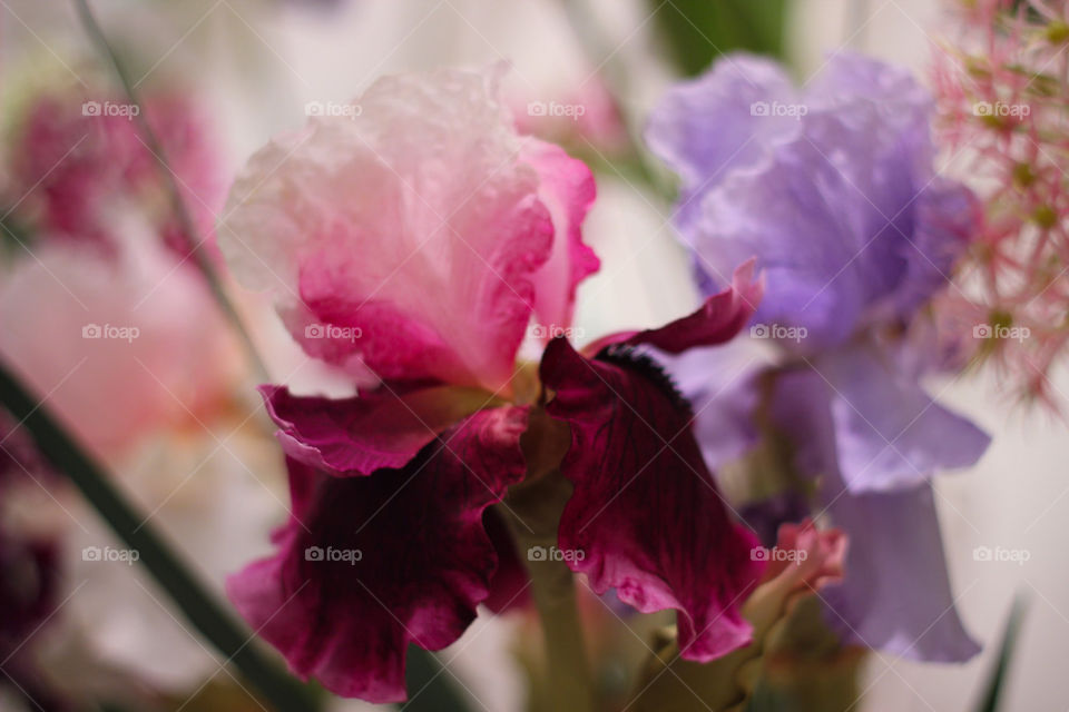 flowers decoration