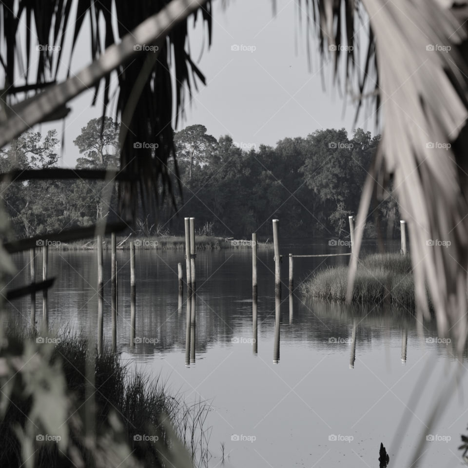 Happy Grey Story: REFLECTIONS on the bay! My Happy Grey Story photos shows cool, neutral,  and balanced color which             
communicates some of the strength and mystery of black!
