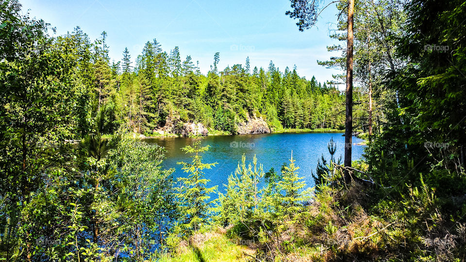 Waldsee in Schweden