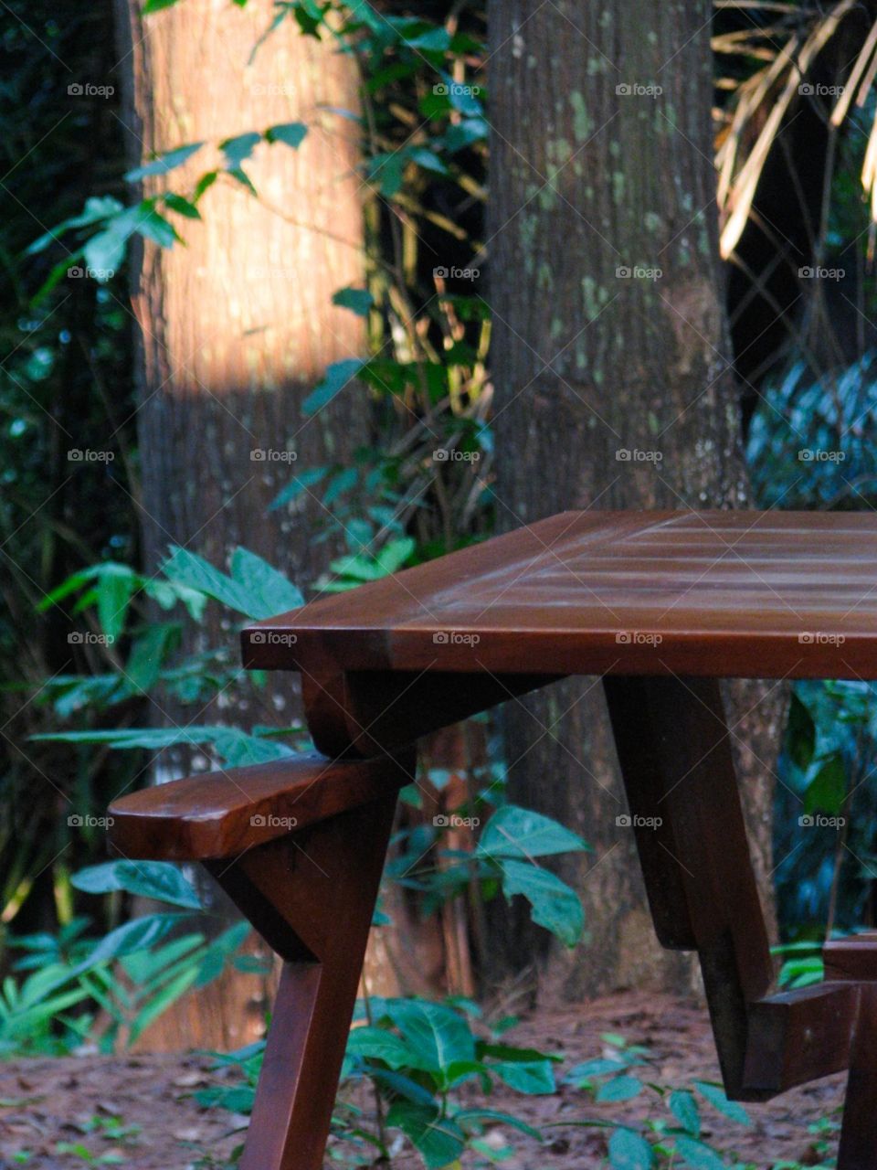 wooden table in the forest