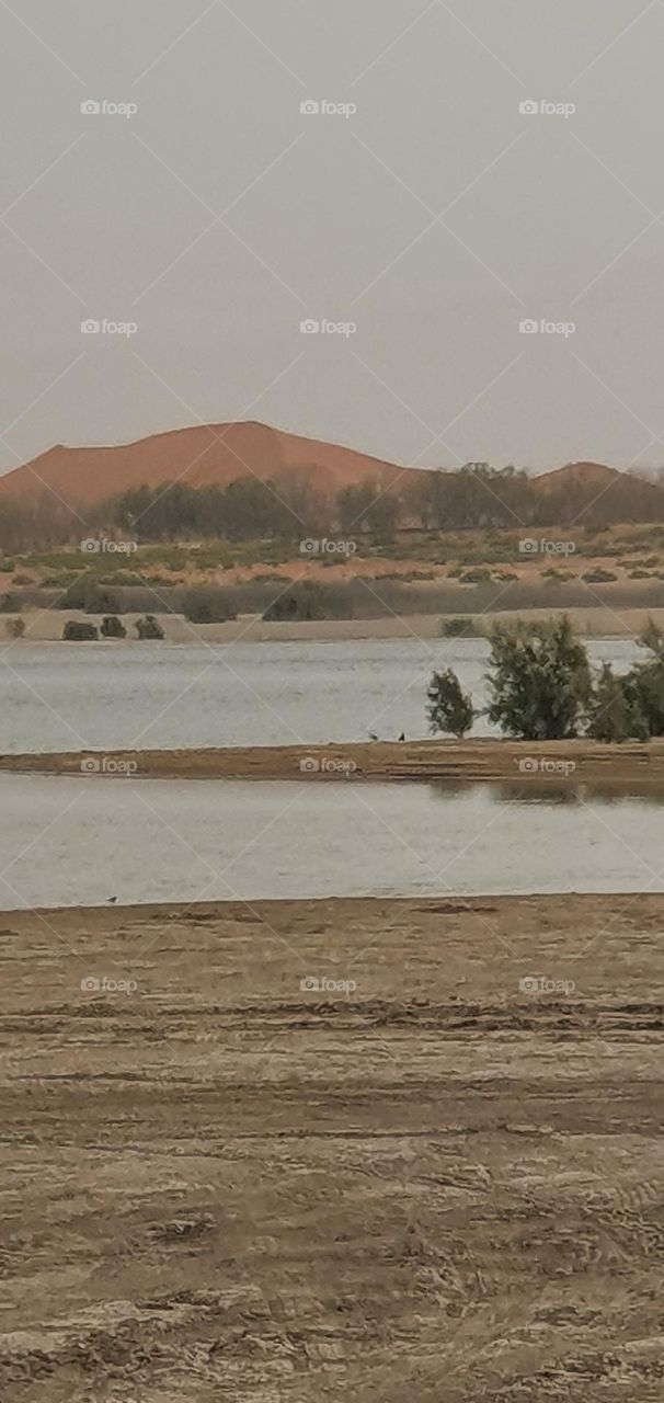 A lake in desert in 🇦🇪